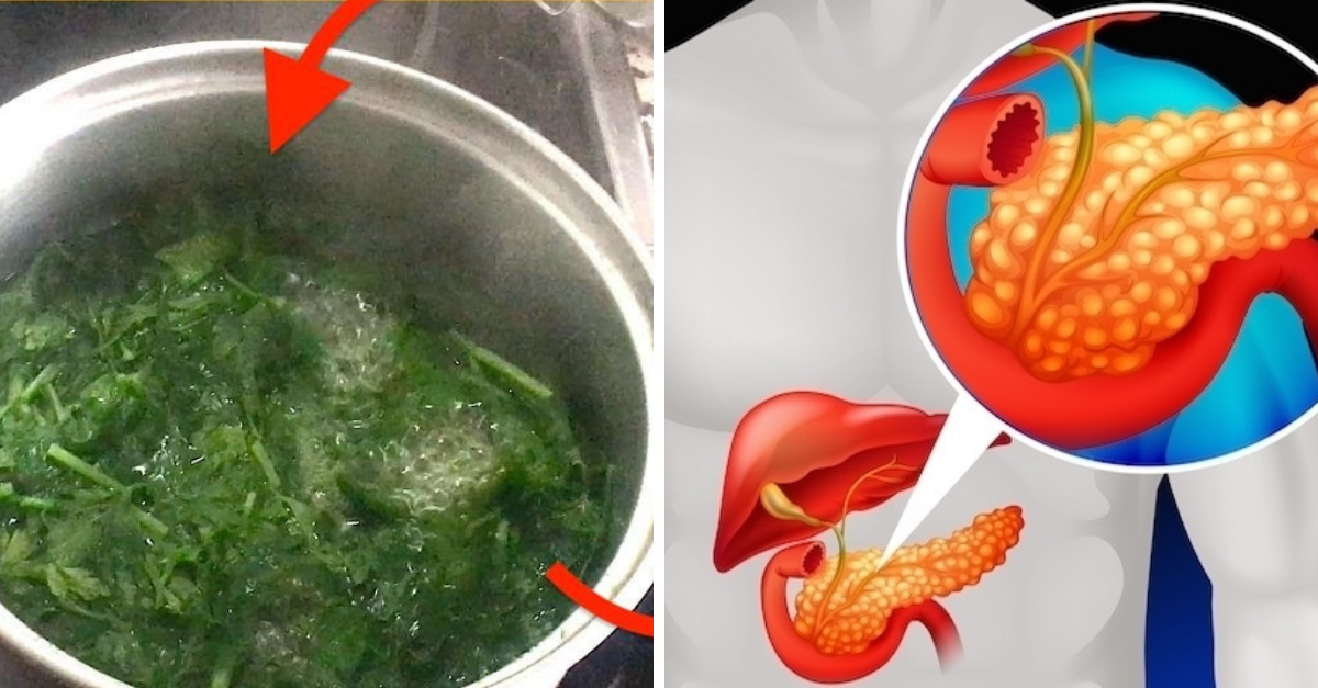 Como limpar o pâncreas com receitas naturais