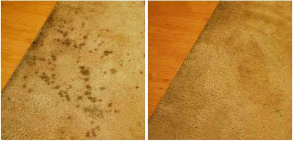 limpar-tapetes-facil