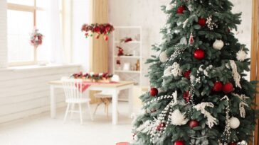 limpeza da arvore de natal