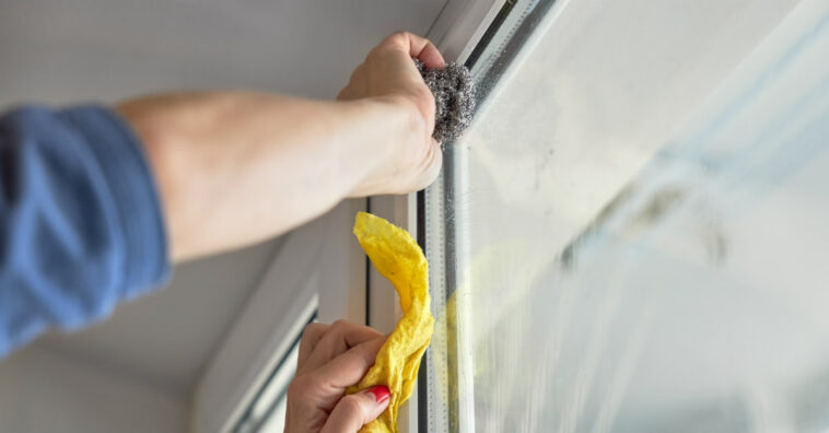 limpeza da casa quem tem alergia