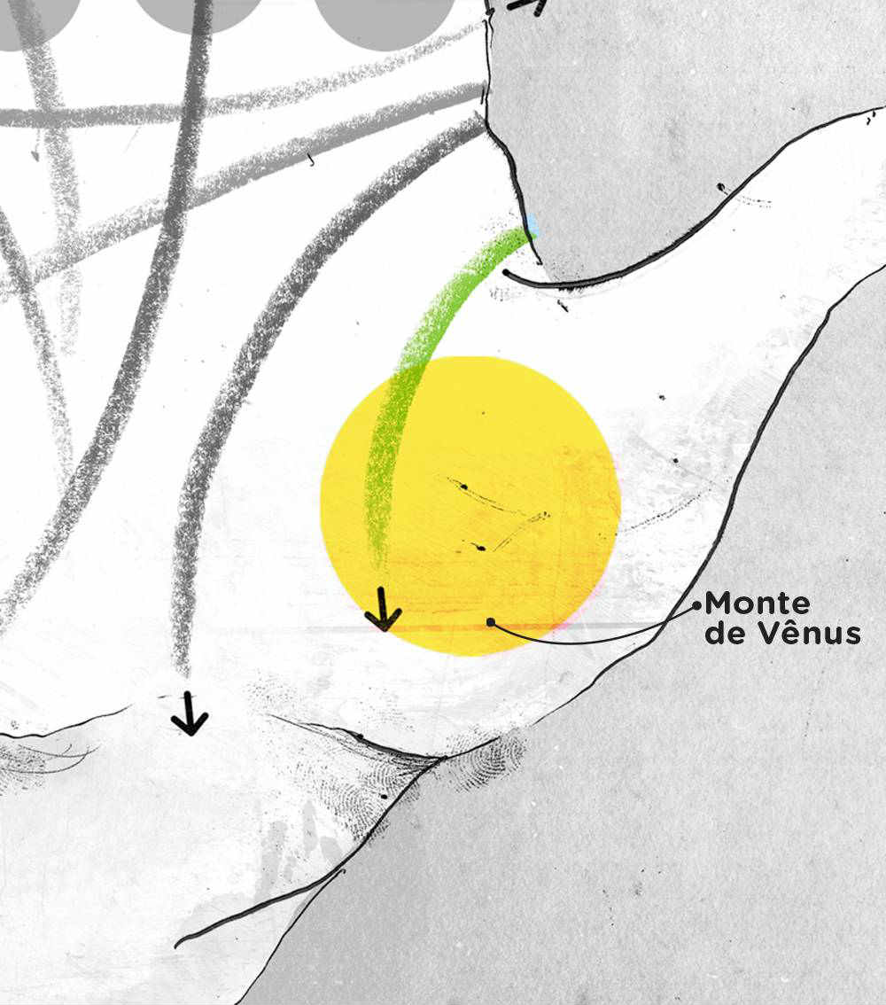 linhas da mão marte