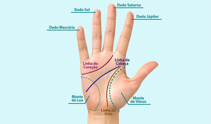 linhas das mãos cabeça coração e vida