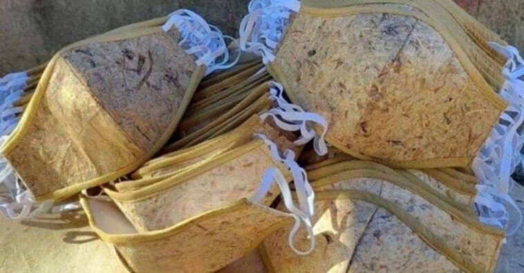 máscaras biodegradáveis