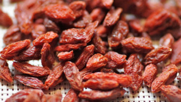consumir goji berry