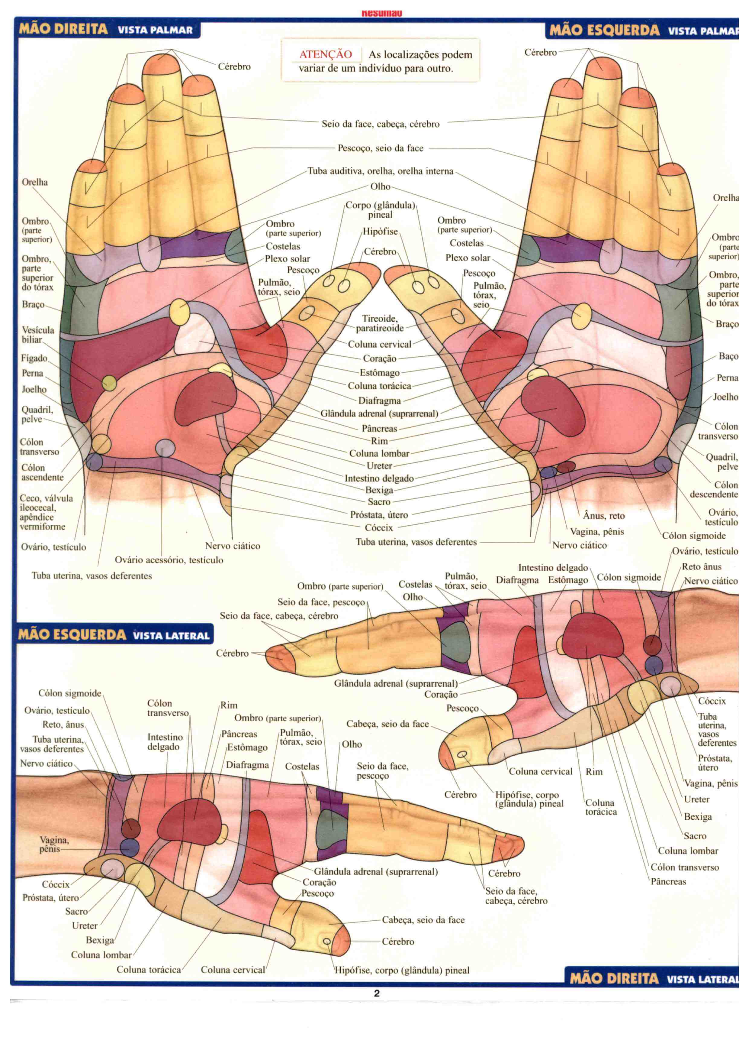 Reflexologia: a terapia alternativa que atenua dor e outros sintomas