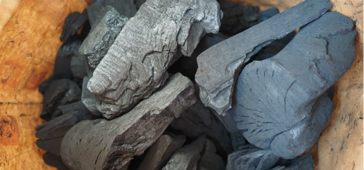 mau cheiro na geladeira carvão