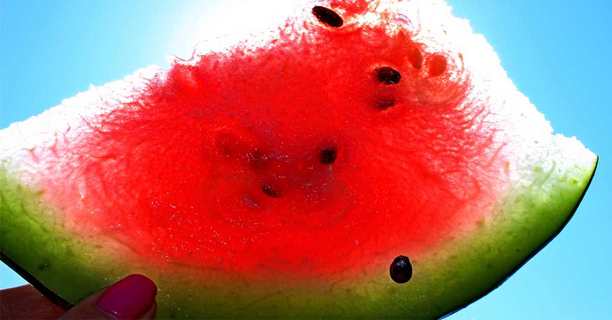 melancia benefícios saúde