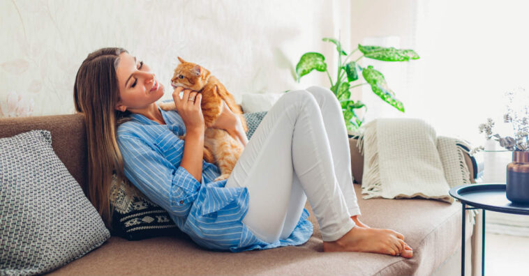 melhorar o ar da sua casa