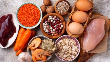 alimentos ricos em zinco