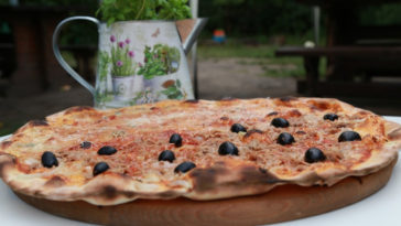 receitas com sardinha