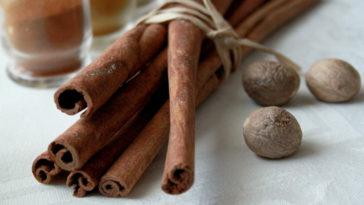 termogênicos naturais