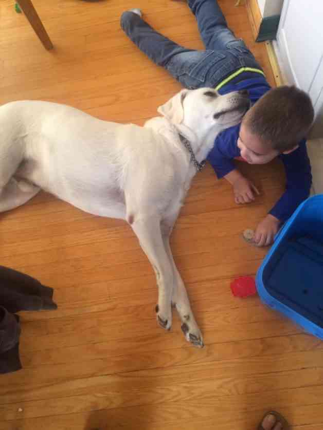 menino_dicas_online12