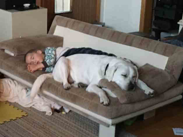 menino_dicas_online2