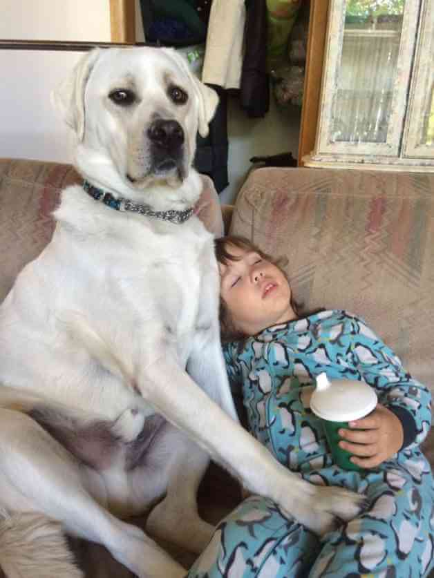 menino_dicas_online8