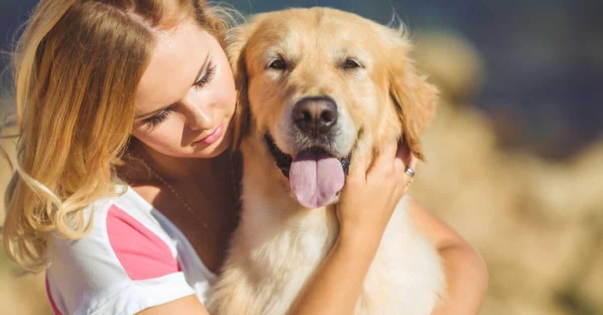 vantagens adotar cachorro