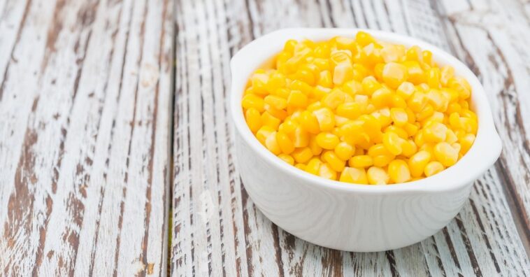 milho cozido engorda