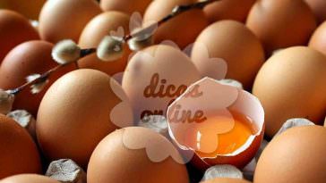 Mitos e verdades sobre os ovos