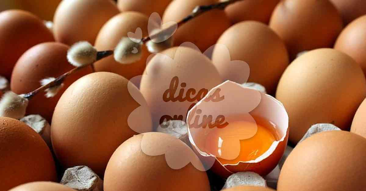 Mitos e verdades sobre os ovos