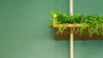 vinte modelos terrário de parede