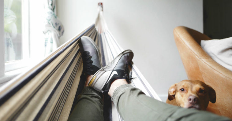 tirar os sapatos antes de entrar