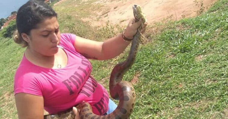 mulher captura sucuri