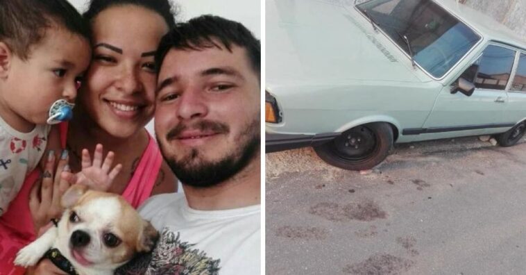 mulher recusa caso como recompensa por cão perdido