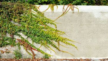 como fazer muro verde em casa