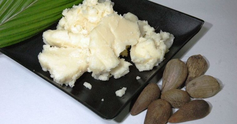 murumuru propriedades e produtos