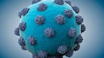 novo vírus identificado