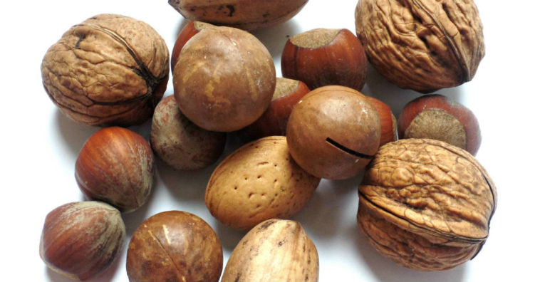 nozes mais saudáveis
