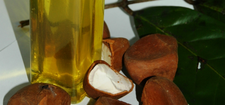 oleo de andiroba benefícios