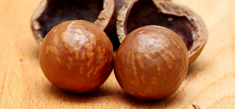 oleo de macadâmia benefícios