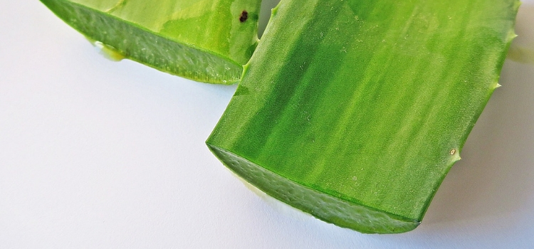 melhores oleos para cabelo aloe