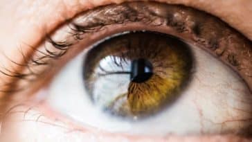 babosa para a visão