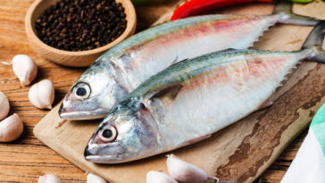 olhos de plástico em peixes
