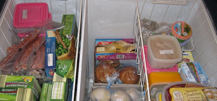 como organizar freezer horizontal