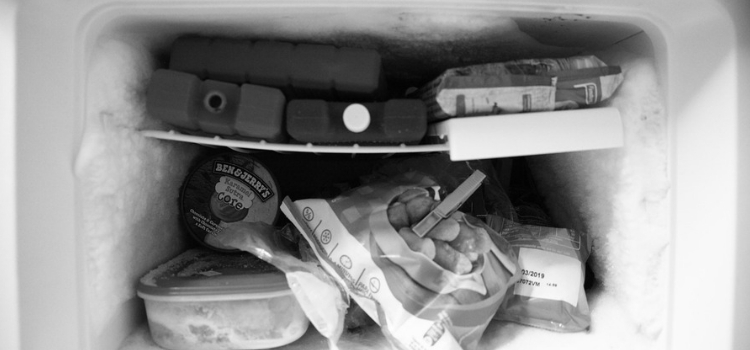 como organizar freezer vertical