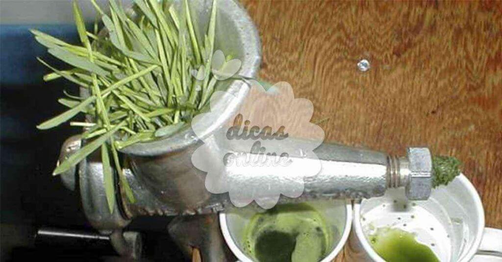 ovarios_rins_2_dicas_online