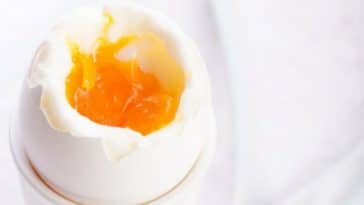 ovo cozido no micro-ondas