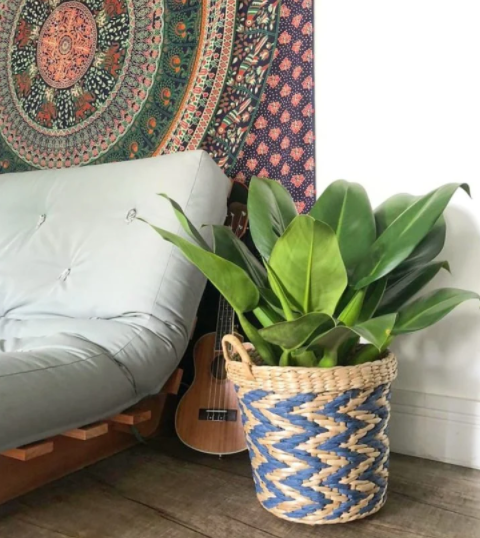 pacová em decoração natural em cesto