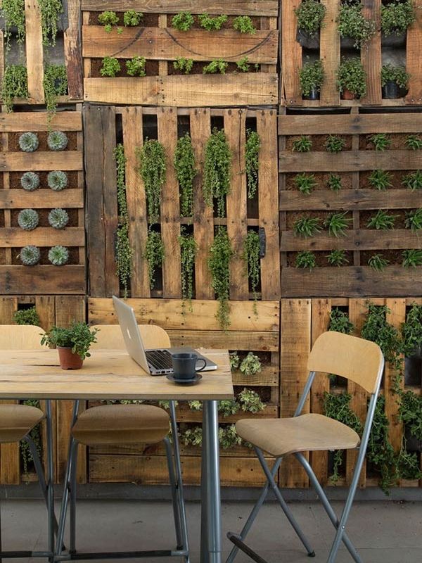 modelo painel para área do café