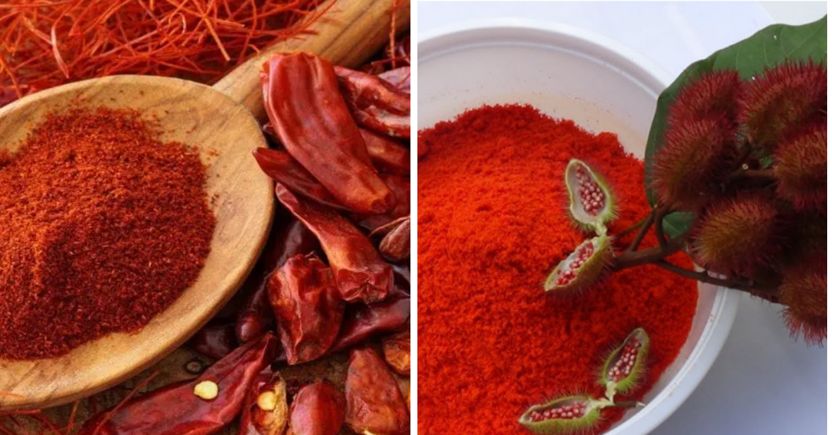 Páprica e colorau diferenças, benefícios e como usar nas receitas