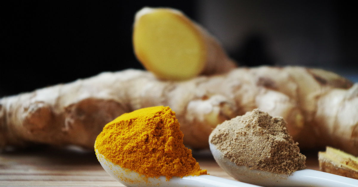 para que serve o gengibre