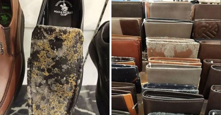 peças com mofo em loja