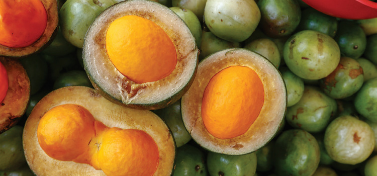 pequi contraindicações e cuidados