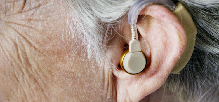 perda auditiva causas