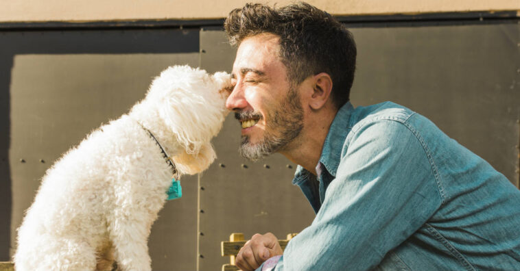 personalidade dos cachorros parece com a dos donos