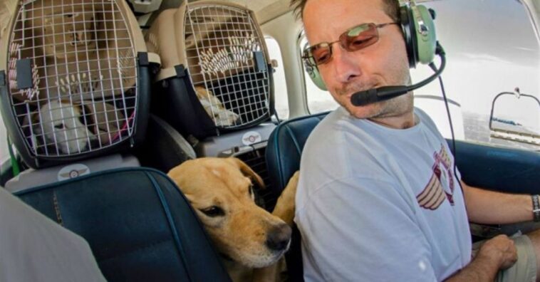 piloto resgata animais da eutanásia