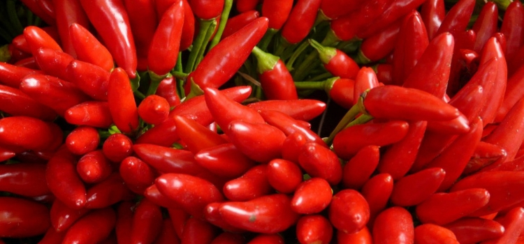 mito que pimenta causa hemorroida