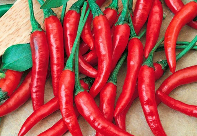 tipo de pimenta dedo-de-moça